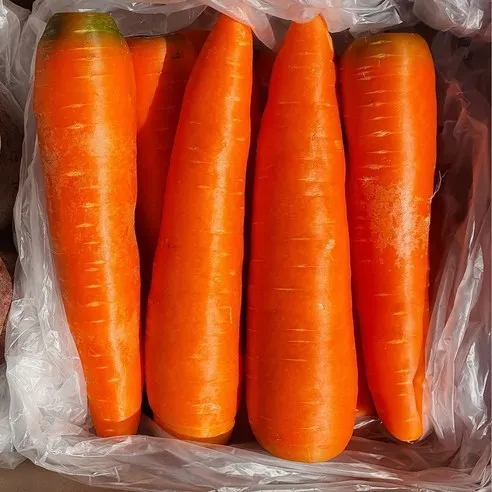 자주 찾는 필수 야채 세척당근 carrot 직접선별 이중 박스포장, 3kg (개당300..., 1개