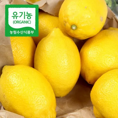 더기분 유기농 제주 레몬 / 일반 레몬 국산 국내산 생 레몬청, 8.일반 제주레몬 ..., 1개