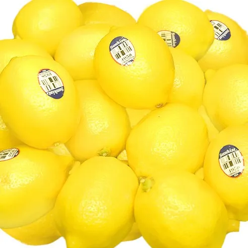 정품 팬시 레몬 100g 10개 / 30개 / 50개 / 70개 레몬차 레몬청 레몬에이드 장식용 레몬, 100g, 50개